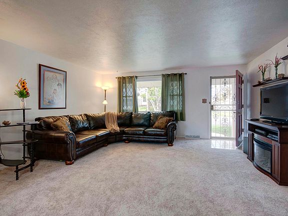 New Carpet