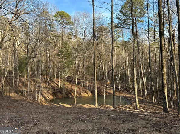TRACT 3 New Liberty Estates Rd, Clarkesville, GA 30523