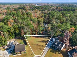 6425 Mossy Rock Ct, Castle Hayne, NC 28429