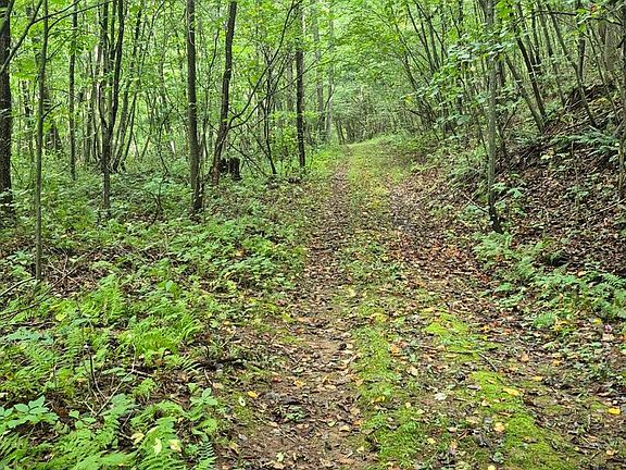 4th image of 0 Moss Rd