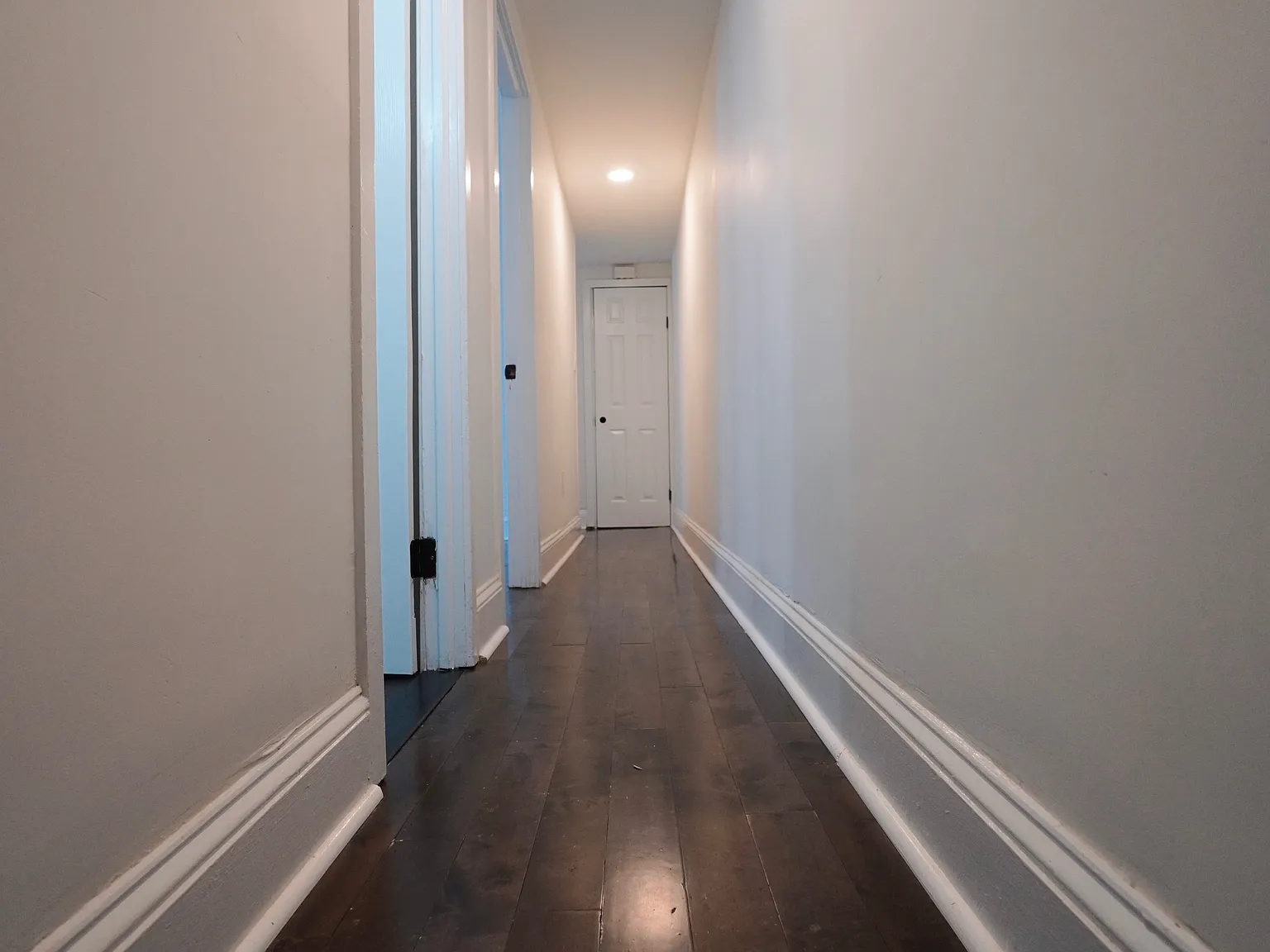 1 bed, $1,250 — Photo 4