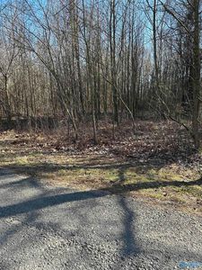 Willis Rd, Union Grove, AL, 35175