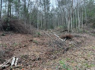 LOT 3D Coy Rhea Way, Sevierville, TN 37876