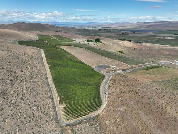 18358_Yakima-County-Washington-Orchard-138-Acres (4)