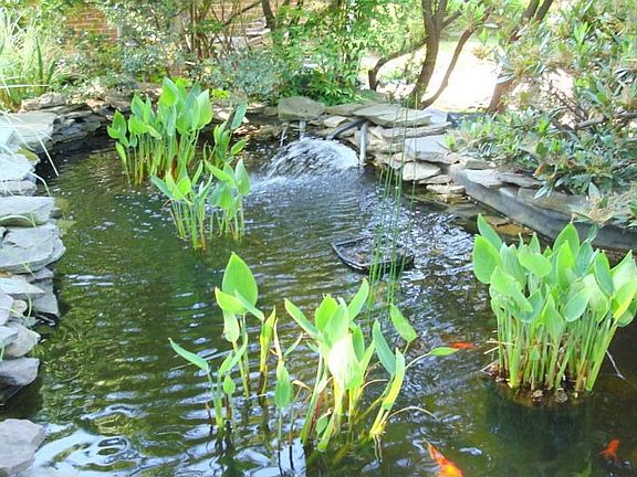 Magnificent multi-tier fish pond
