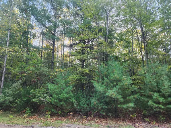 6842 White Pine Dr, Stanwood, MI 49346