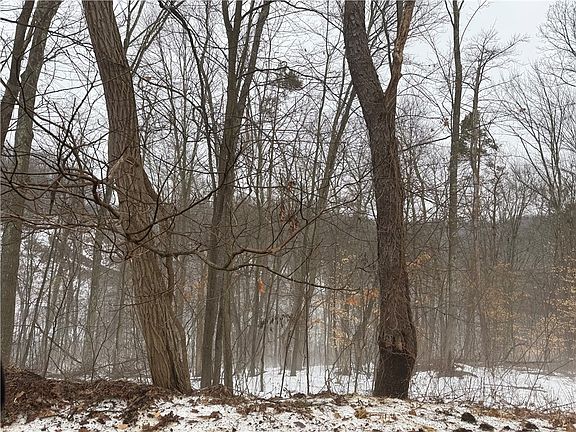 4th image of 0 Cadogan Slate Lick Rd