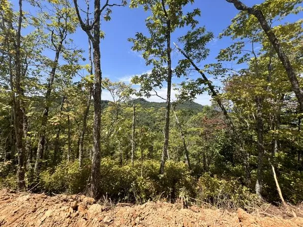 0 Shiners Rdg, Almond, NC 28702