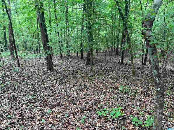 0 Gilmer Ave, Tallassee, AL 36078