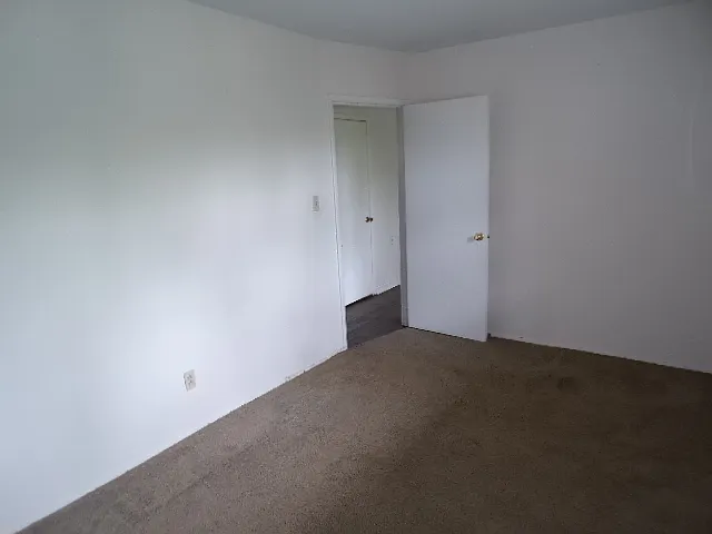 1338 Bluff Ave — Photo 8