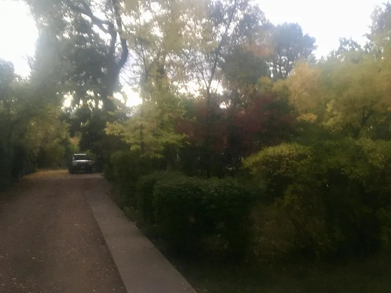 Driveway to house / Off Street Parking.