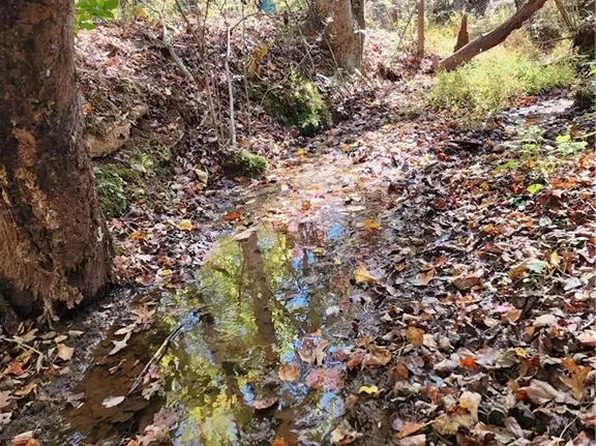 00 Grace Dr, Blue Ridge, GA 30513