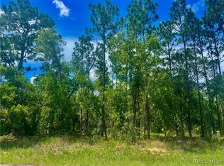 4 Pagoda Ct E, Homosassa, FL 34446