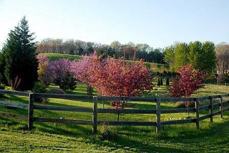Street view of property