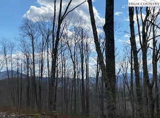 78 Rhoneys View Rd, Newland, NC 28657