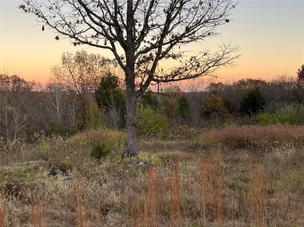 0 Highway Zz, Gerald, MO 63037