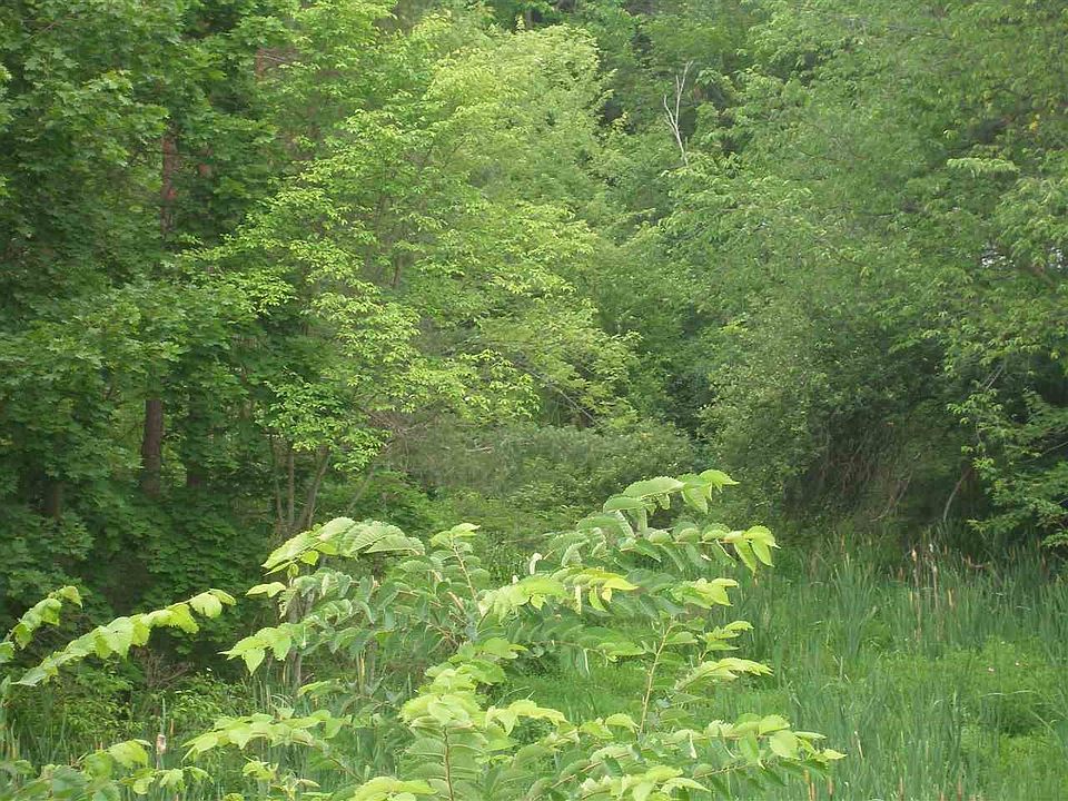 2nd image of 20 Jones Rd