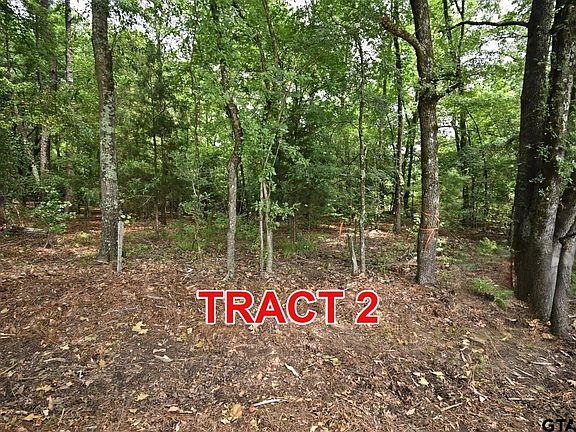 3rd image of TRACT 2 County Road 3117