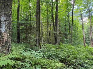 176 Button Hill Rd, Shrewsbury, VT 05738