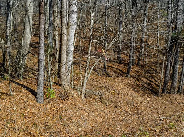 0 Rambling Rd, Talking Rock, GA 30175