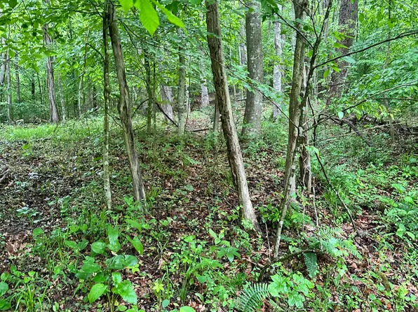 0 Mount Scratchum Rd, Irvine, KY 40336