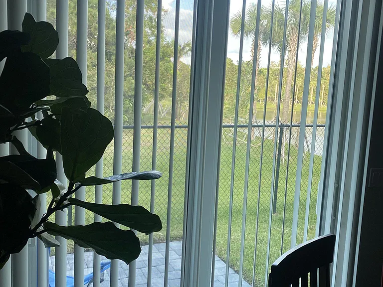 Back yard