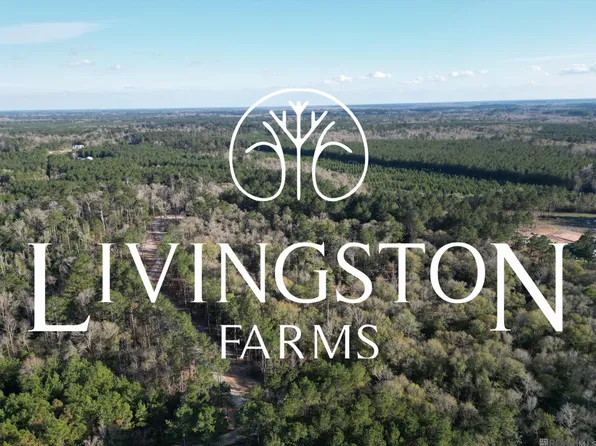 6 Livingston Parish, Livingston, LA 70754