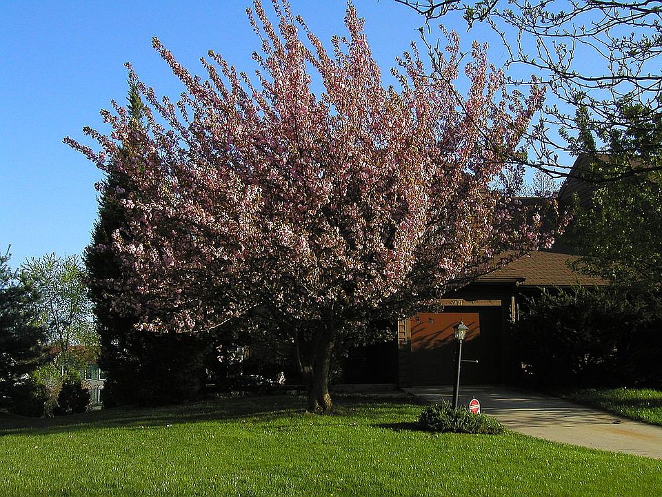 2nd image of 6521 Smokehouse Ct