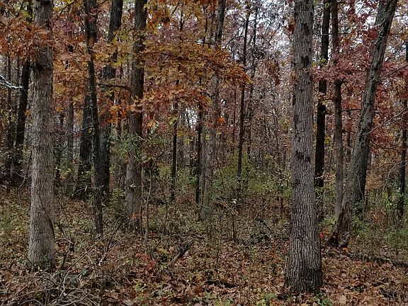 Hard woods