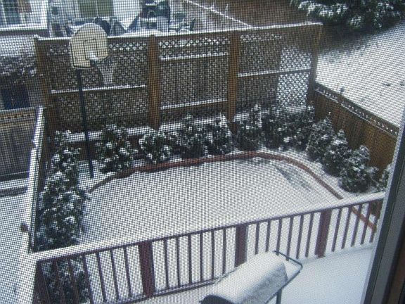 4th image of 441 Clifton Ave