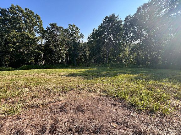 3rd image of LOT 29 Watauga Ln