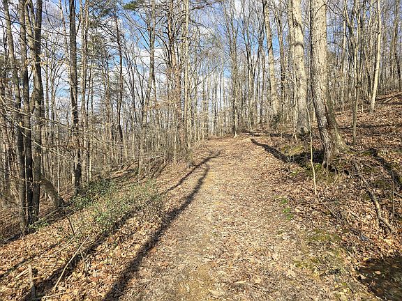 5th image of TRACT 2 Maple Grove Rd #3