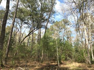 0 Walter Dr, Johns Island, SC 29455