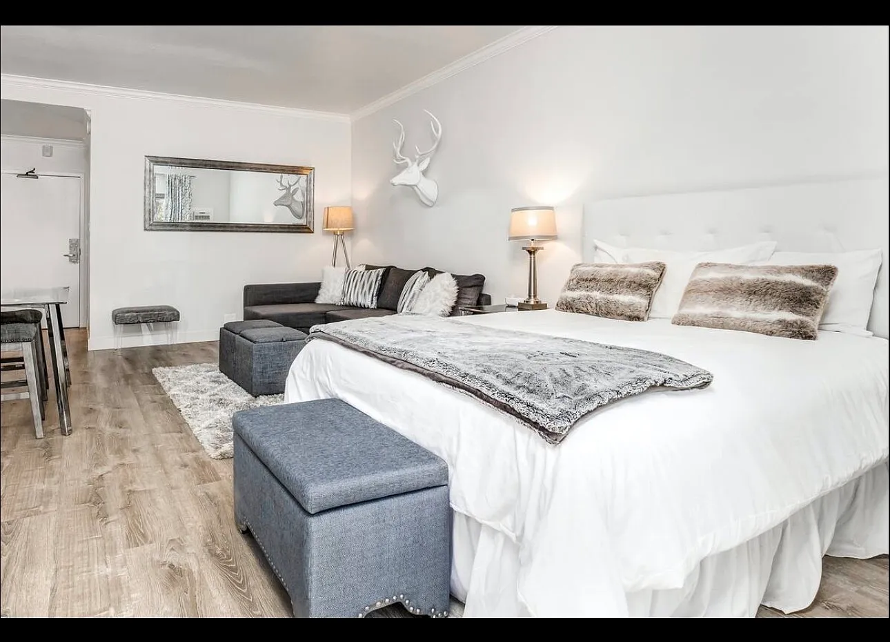 Studio, 431 sqft, $2,400 — Photo 4