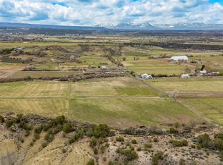 15773 Bull Mesa Rd, Cedaredge, CO 81413