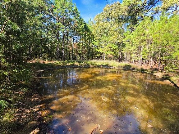 2nd image of 100 Bear Creek Rd