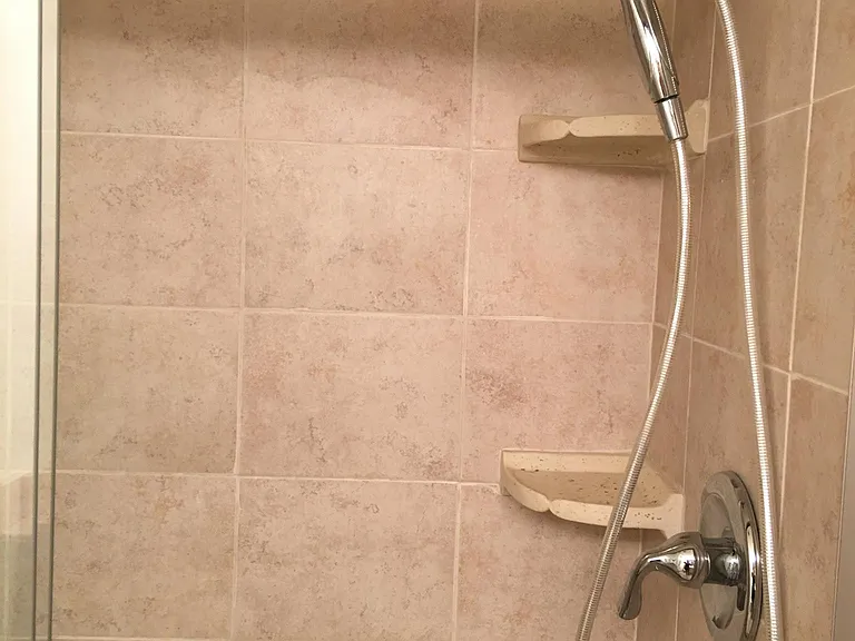 Hall Bathroom Shower
