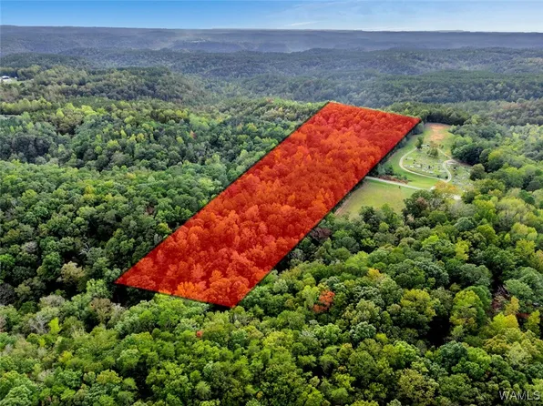 0 Patton Hill Rd, Oakman, AL 35579