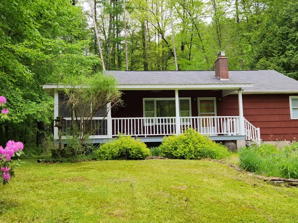 597 Big Run Rd, Hughesville, PA 17737