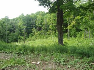Lower Woods And Water Rd LOT 16, Bondville, VT 05340
