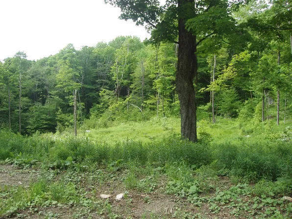 Lower Woods and Water Road Lot 16, Winhall, VT 05340