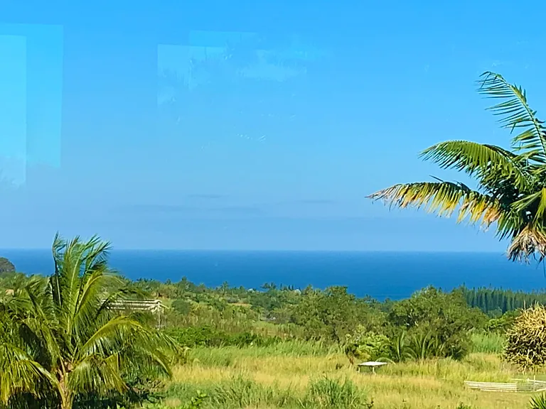View from 2nd Bedroom