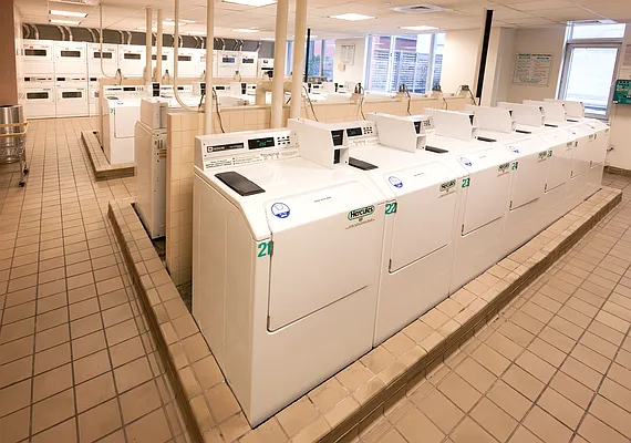 Rented by Mirador Real Estate | media 38