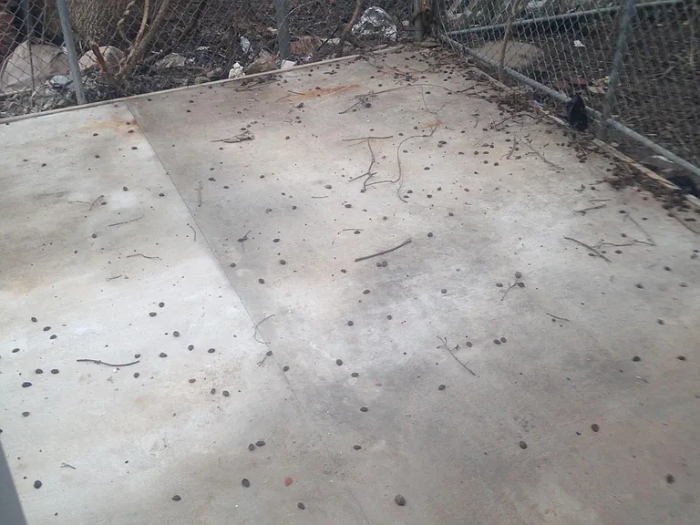 2023 W Oxford St #1A — Photo 5