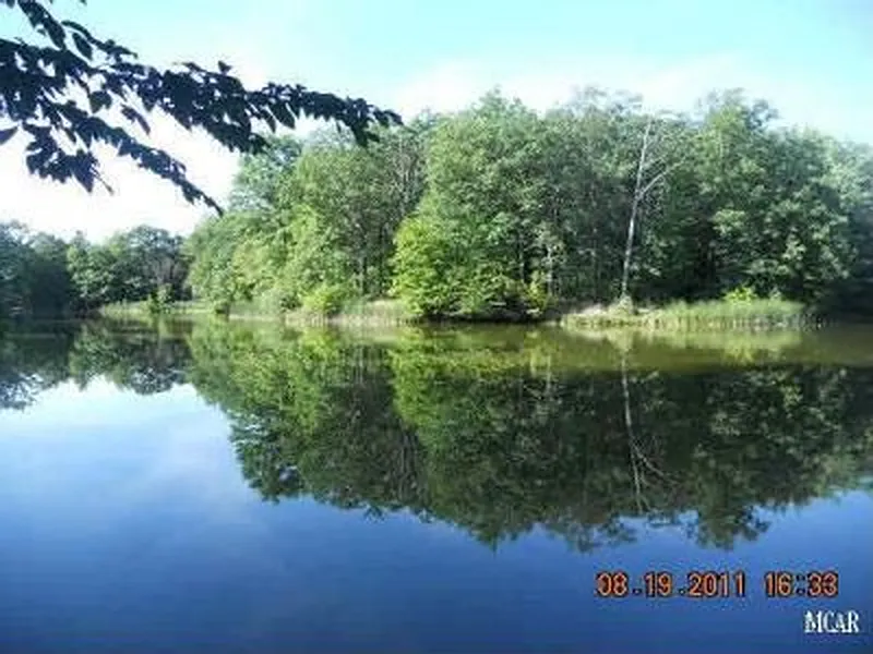 Thumbnail 12