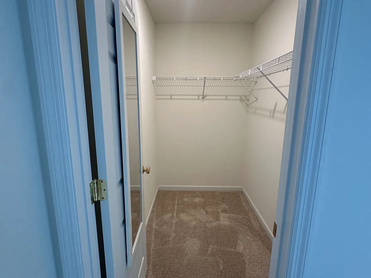 137 Day Lily Ln — Photo 4