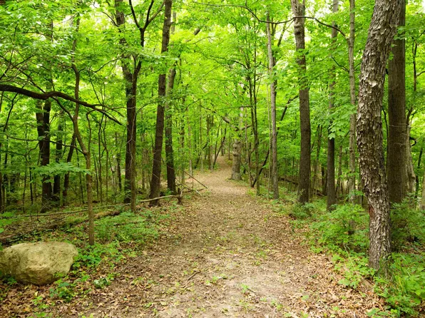 608 E Cedar Hills Dr, Chillicothe, IL 61523