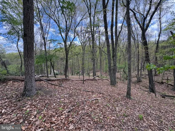 Beam Rd, Romney, WV 26757