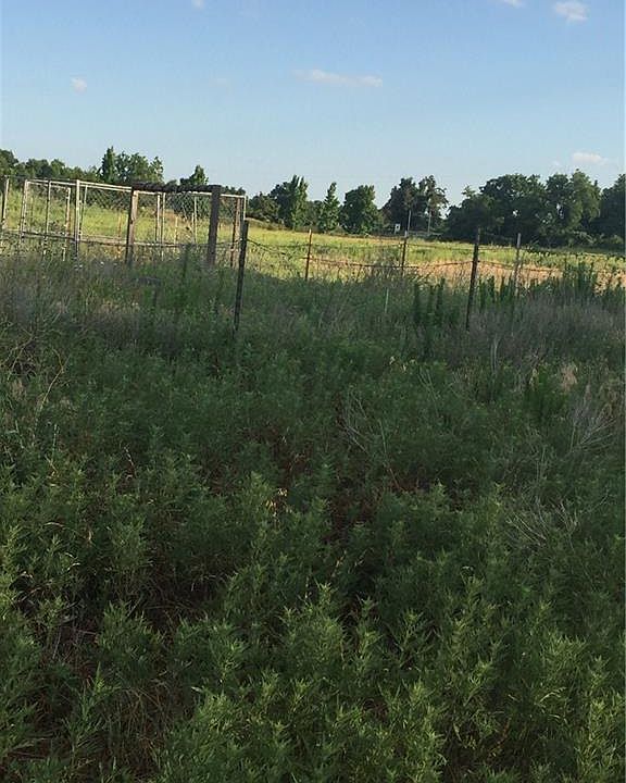 1st image of 3179 County Road 461