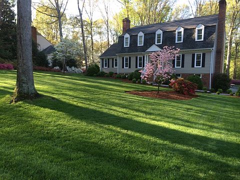 4th image of 11901 Wexwood Dr